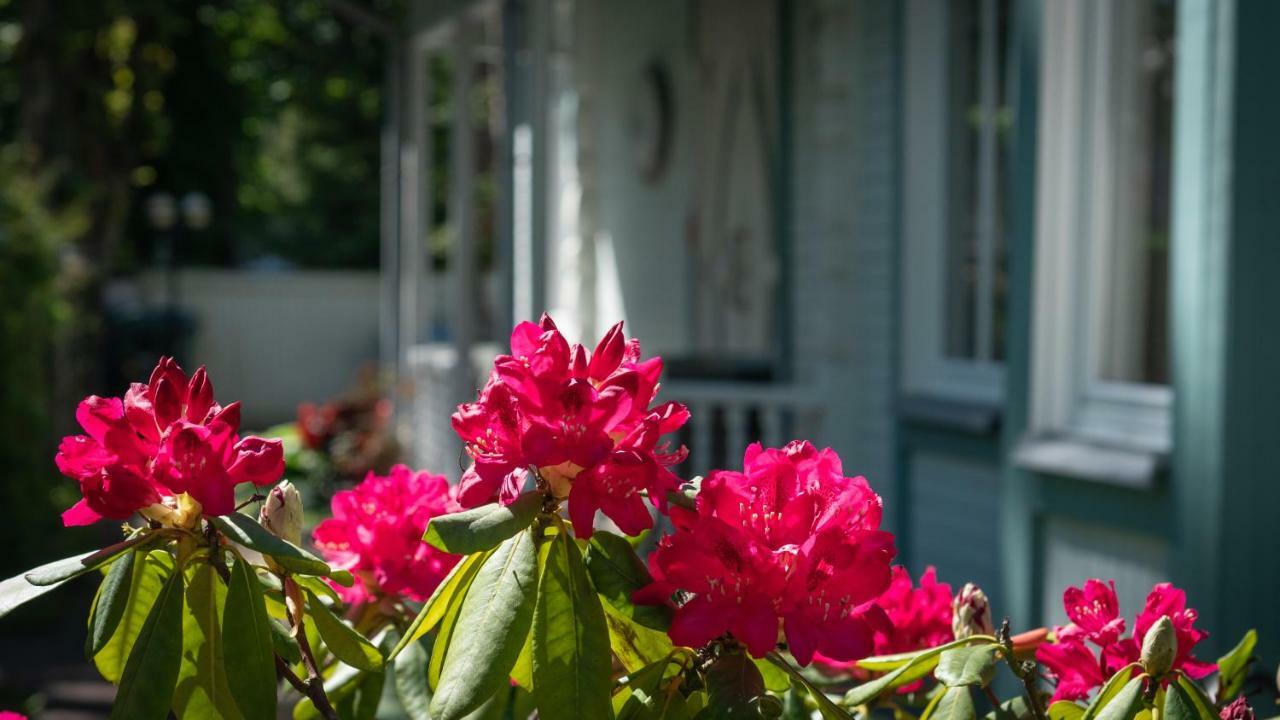 Parus Boutique Hotel Jurmala Exterior photo